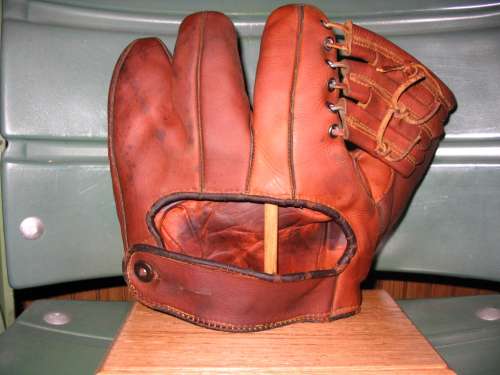 Ted Williams Back